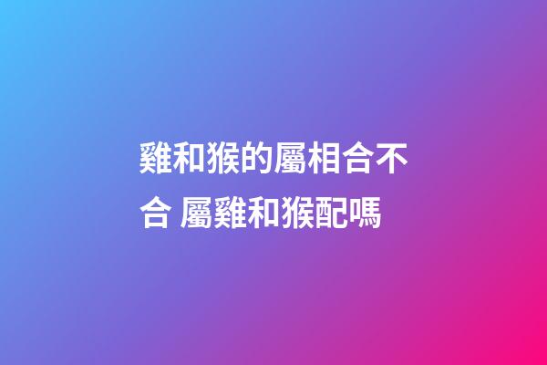 雞和猴的屬相合不合 屬雞和猴配嗎-第1張-觀點-玄機派